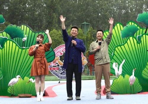 料理猫爆料视频大全集最新,揭秘美食背后的秘密与技巧