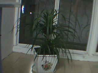 桂林人论坛最新爆料,揭秘桂林神秘事件真相！