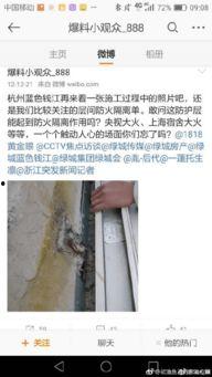 绿城纵火爆料最新消息新闻,最新消息揭露惊人内幕，揭秘事件真相