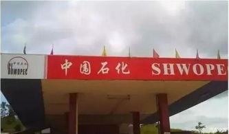 济宁加油站爆料事件最新,真相揭露与公众关注焦点