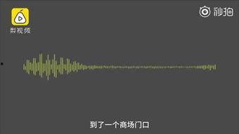 徐小平最新爆料新闻视频,揭秘事件背后惊人内幕