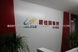 长沙碧桂园爆料最新消息,揭秘项目进展与未来规划